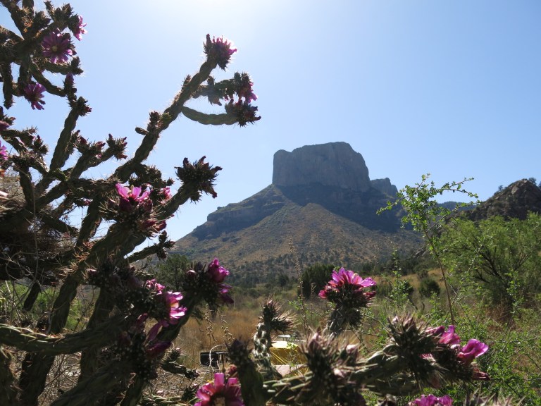 casa grande &amp; cholla