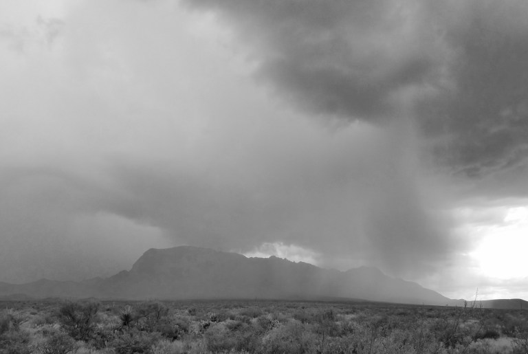 b&w rain